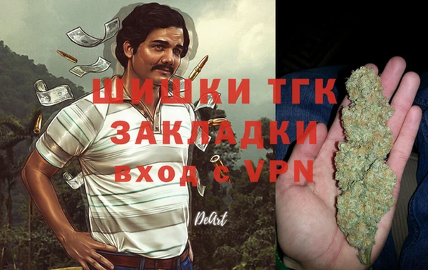 мяу мяу кристалл Богданович