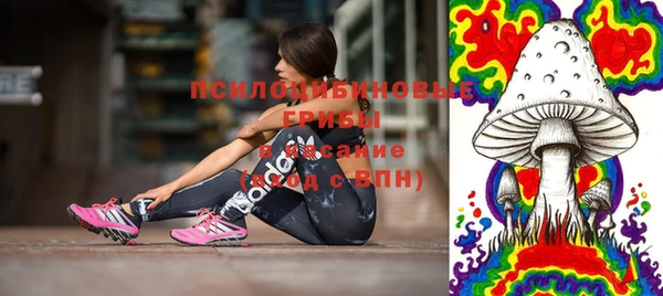 мдпв Богородицк